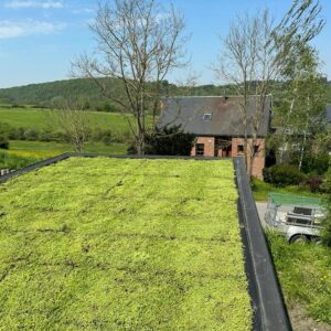groen dak aanleggen kosten